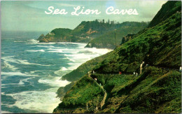 Oregon Coast Sea Lion Caves - Altri & Non Classificati