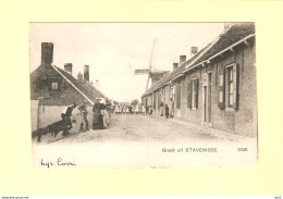 Stavenisse Straat Met Molen Ca.1900 RY34680 - Stavenisse