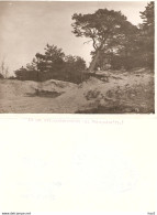 Dwingeloo Persfoto Natuurreservaat 1933 KE4436 - Dwingeloo