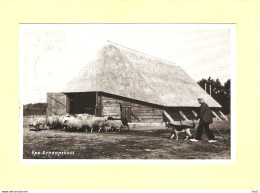 Epe Schaapskooi Herder En Hond 1960 RY39518 - Epe