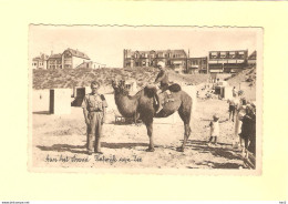 Katwijk Aan Zee Kameel Met Kind Op Strand RY38567 - Katwijk (aan Zee)