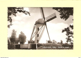 Valkenswaard Molen Borkel En Schaft RY38436 - Valkenswaard