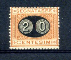 1890-91 Regno Segnatasse Tasse N.18 * - Impuestos