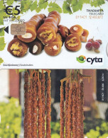 CYPRUS - Traditional Products/"Soutzioukos"(0114CY, With Notch), Chip CHT05, Tirage %50000, 06/14, Used - Cipro