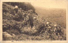 FRANCE - 67 - MONT ST ODILE - La Cueillette De Myrtilles - Carte Postale Ancienne - Sainte Odile