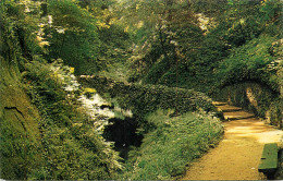 England Shanklin I.O.W - Path Through The Chine - Shanklin