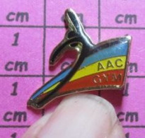 513G Pin's Pins / Beau Et Rare / SPORTS / CLUB GYMNASTIQUE AAC GYM - Gymnastics