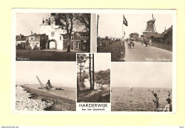 Harderwijk 5-luik Met Molen RY22796 - Harderwijk