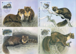 Irlande - WWF : Martre Des Pins (Martes Martes) CM 801/804 (année 1992) - Cartes-maximum