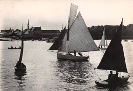 ¤¤   -   PAIMPOL    -   Voiliers Dans Le Port     -   ¤¤ - Paimpol