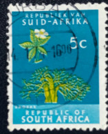 RSA - South Africa - Suid-Afrika  - C18/7 - 1973 - (°)used - Michel 434 - Baobab - Gebraucht