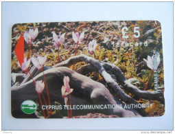Cyprus Chypre 17CYPB Akamas Forest Plantes Fleurs Cyclames £ 5 Used - Cipro