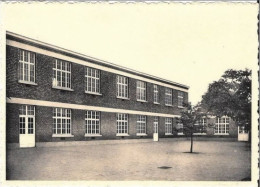 NIJLEN - Lagere School - Nijlen