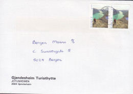 Norway GJENDESHEIM TURISTHYTTE Jotunheimen Deluxe GJENESHEIM 1997 Cover Brief Lettre BERGEN Besseggen-Grat PAIR !! - Lettres & Documents