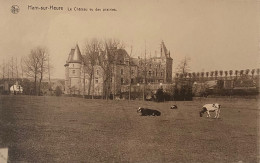 Han Sur Heure Le Chateau Vu Des Prairies - Ham-sur-Heure-Nalinnes