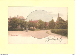 Oosterbeek Mooi Dorpsgezicht Sierkader 1905 FA036 - Oosterbeek