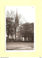 Yerseke NH Kerk RY43191 - Yerseke