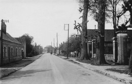 Ailly Le Haut Clocher - Route Nationale   -  Cheval - CPSM°J - Ailly Le Haut Clocher