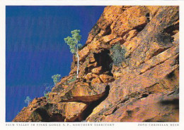 AK149991 AUSTRALIA - Northern Territory - Palm Valley Im Finke Gorge N. P. - Non Classés