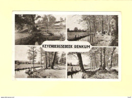 Renkum 4-luik Kleyenbergsebeek 1956 RY32682 - Renkum
