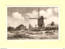 Ede Doesburger Molen 1956 RY32666 - Ede