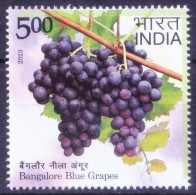 India 2023 MNH, Bangalore Blue Grapes Rich In Vitamins A, C & K, Fruits - Geneeskrachtige Planten