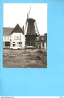 Oss De Zwarte Molen M271 - Oss