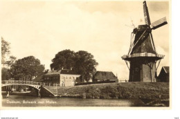 Dokkum Bolwerk Met Molen 2346 - Dokkum