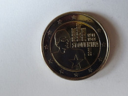 Slovénie Pièce 2 Euro Commémorative Année 2011 - Slovenië