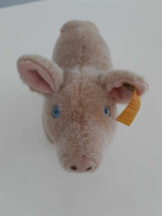 Steiff Piggy - Steiff Animals