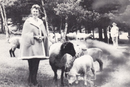 Canada Nova Scotia Middleton Ewe-Wear Sheepskin Products - Other & Unclassified