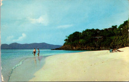 St John Trunk Bay Beach - Jungferninseln, Amerik.