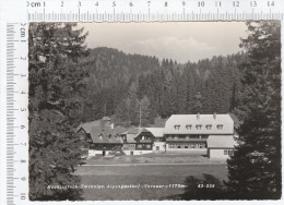 Hochlantsch Teichalpe Alpengasthof Vorauer - Vorau