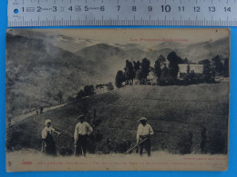 CPA N°1098 De RIEUPREGON (Ariège) Vue Sur La Vallée, Fond Du Montvallier, Taneurs Dans Les Paturages Photo Labouche - Otros & Sin Clasificación