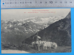 CPA N°766 De AULUS-LES-BAINS (Ariège) Plateau De Lers Pyrénées Ariégeoises Photo Labouche Frères Moutons Berger - Otros & Sin Clasificación