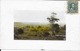 BRAZIL - JOAO PESSOA - PARAHYBA DO NORTE - LANDSCAPE - EMBOSSED FRAME - ED. NPG - 1912 - João Pessoa