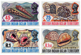 72854 MNH OCEANO INDICO BRITANICO 1974 CONCHAS - Brits Indische Oceaanterritorium