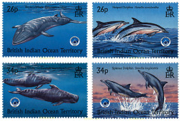 57011 MNH OCEANO INDICO BRITANICO 1998 AÑO INTERNACIONAL DE LOS OCEANOS - Brits Indische Oceaanterritorium