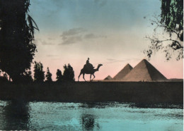 CAIRO - EVENING NEAR PYRAMIDS - F.G. - Pyramiden