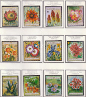 BURUNDI - Fleurs, Flowers, Iris, Narcisse, Lis, Nymphés - 1973 - MNH - Ongebruikt