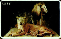 SCHEDA TELEFONICA PHONECARD DISNEY U.S.A. B.E.L. INTERNATIONAL ANIMALS LIONS - Collections