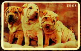 SCHEDA TELEFONICA PHONECARD DISNEY U.S.A. B.E.L. INTERNATIONAL ANIMALS THREE SHAR PEI DOGS - Sammlungen