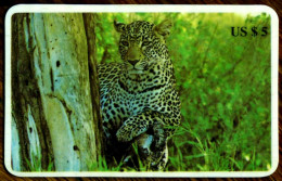 SCHEDA TELEFONICA PHONECARD DISNEY U.S.A. B.E.L. INTERNATIONAL ANIMALS LEOPARD - Collections