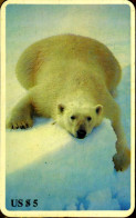 SCHEDA TELEFONICA PHONECARD DISNEY U.S.A. B.E.L. INTERNATIONAL ANIMALS POLAR BEAR - Collections