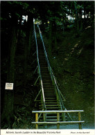 Canada Nova Scotia Truro Victoria Park Jacobs Ladder - Autres & Non Classés