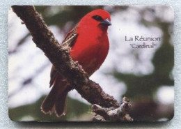 La Réunion - Beau Magnet  7 X 10 Cm - LE CARDINAL - Animals & Fauna