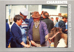 8-8-2023 (1 T 50) France - Foire De Rouillac (market) Horse / Cheval - Fairs