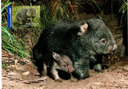 Australia 2006 Australian Native Wildlife,Common Wombats,Maximum Card - Cartas Máxima