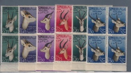 SOMALIA  AFIS  SOMALILAND 1955    QUARTINA TESTE DI GAZZELLE AEREA Completa   6 Val. MNH** - Somalia (AFIS)