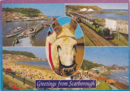 SCARBOROUGH, HARBOUR, LIGHTHOUSE, CASTLE, SOUTH BAY, NORTH BAY, UNITED KINGDOM - Scarborough